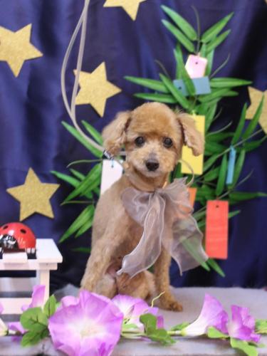 20230716マムちゃん